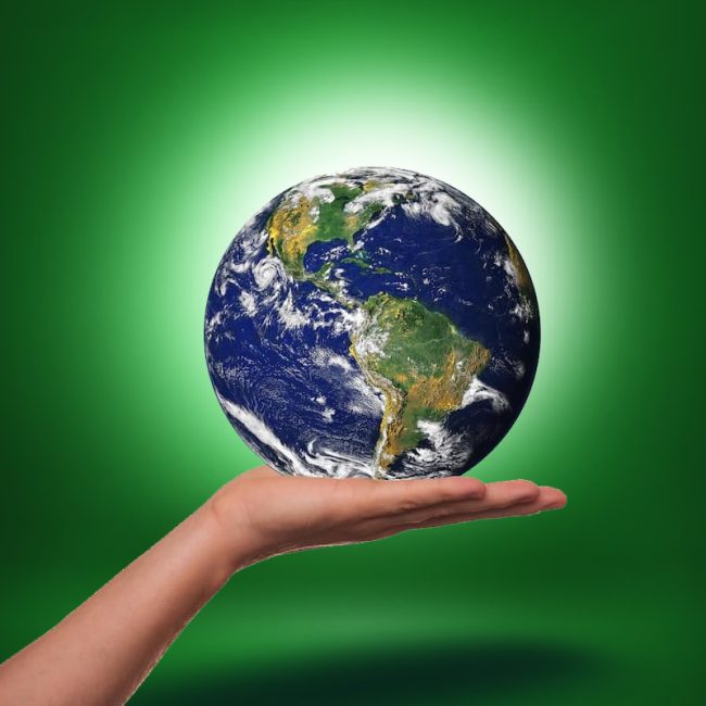 World Environment Day