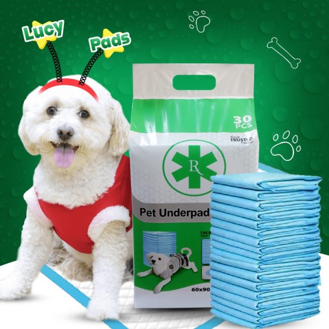 Lucy Pads