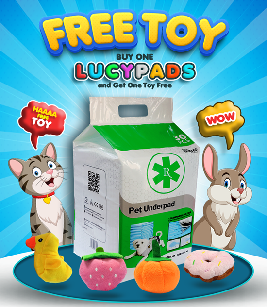 Lucy Pads